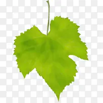 水彩画 油漆 湿墨-空若网 水彩画 油漆 湿墨-空若网