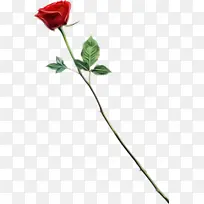 水彩画 颜料 湿墨-空若网 水彩画 颜料 湿墨-空若网