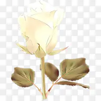 卡通 花 花瓣-空若网 卡通 花 花瓣-空若网