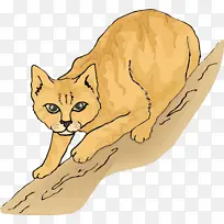 ˮ�ʻ� ���� ʪīˮ-������