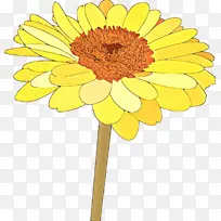 卡通 花卉 黄色-空若网 卡通 花卉 黄色-空若网