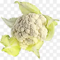 水彩 油漆 湿墨水-空若网 水彩 油漆 湿墨水-空若网