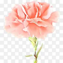 ��ͨ ���� ����ֲ��-������