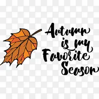 Ҷ�� �� ֲ��-������