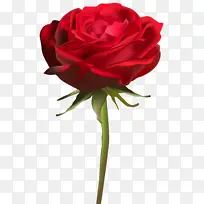 ���� õ�� ��԰õ��-������