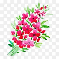 花卉 开花植物 植物-空若网 花卉 开花植物 植物-空若网