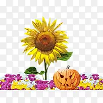 水彩画 油漆 湿墨-空若网 水彩画 油漆 湿墨-空若网