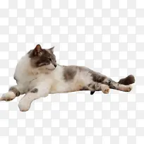 水彩 油漆 湿墨-空若网 水彩 油漆 湿墨-空若网