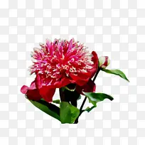 水彩画 颜料 湿墨-空若网 水彩画 颜料 湿墨-空若网