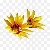 ˮ�ʻ� ���� ʪī-������