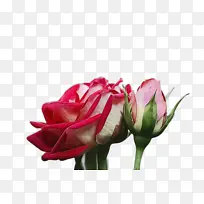 水彩 油漆 湿墨-空若网 水彩 油漆 湿墨-空若网