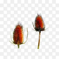 ˮ�� ���� ʪī-������