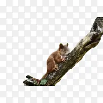 ˮ�ʻ� ���� ʪī-������