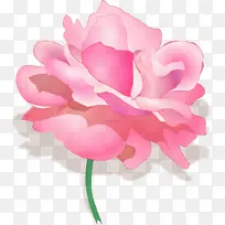 粉色 花瓣 花-空若网 粉色 花瓣 花-空若网