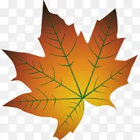 叶 树 枫叶-空若网 叶 树 枫叶-空若网