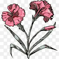 Ë®²Ê» ÑÕÁÏ ÊªÄ«-¿ÕÈôÍø Ë®²Ê» ÑÕÁÏ ÊªÄ«-¿ÕÈôÍø