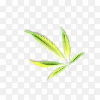 卡通 叶子 绿色-空若网 卡通 叶子 绿色-空若网