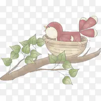 树枝 植物 木兰-空若网 树枝 植物 木兰-空若网