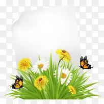 草 昆虫 植物-空若网 草 昆虫 植物-空若网