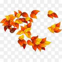 橙色 叶子 黄色-空若网 橙色 叶子 黄色-空若网