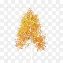 卡通 树 橙色-空若网 卡通 树 橙色-空若网