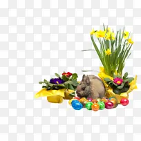 ˮ�ʻ� ���� ʪī-������