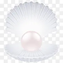 白色 咖啡过滤器 珍珠-空若网 白色 咖啡过滤器 珍珠-空若网