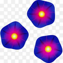 ˮ�ʻ� ���� ʪīˮ-������