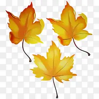 ��Ҷ ��Ҷ ��ľ-������