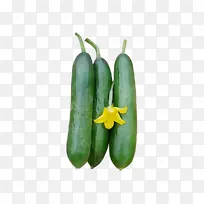 ˮ�� ���� ʪī-������