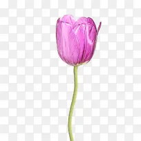 ˮ�� ���� ʪī-������