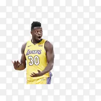 采购产品开花植物 花 郁金香-空若网 采购产品开花植物 花 郁金香-空若网