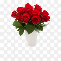 采购产品花 开花植物 花园玫瑰-空若网 采购产品花 开花植物 花园玫瑰-空若网