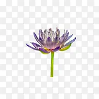 水彩画 颜料 湿墨-空若网 水彩画 颜料 湿墨-空若网