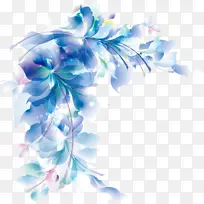 蓝色 花 植物-空若网 蓝色 花 植物-空若网