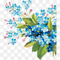 花 植物 忘却-空若网 花 植物 忘却-空若网