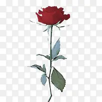 �� ����ֲ�� õ��-������