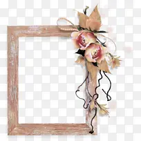 ���� ��֦ ֲ��-������