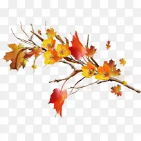 Ҷ�� �� ��֦-������