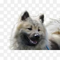 蓝色 绿松石色 浅绿色-空若网 蓝色 绿松石色 浅绿色-空若网