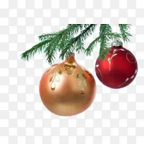 狗品种 狗 鼻子-空若网 狗品种 狗 鼻子-空若网