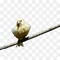 水彩画 颜料 湿墨-空若网 水彩画 颜料 湿墨-空若网