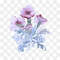 采购产品开花植物 花 粉红色-空若网 采购产品开花植物 花 粉红色-空若网