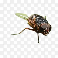 水彩 油漆 湿墨水-空若网 水彩 油漆 湿墨水-空若网