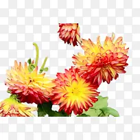 水彩 油漆 湿墨-空若网 水彩 油漆 湿墨-空若网