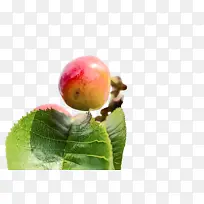 木材 心形 手指-空若网 木材 心形 手指-空若网