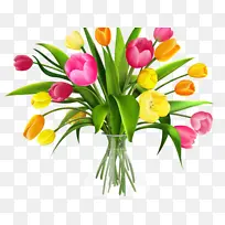 �ɹ���Ʒ�� ֲ�� �л�-������