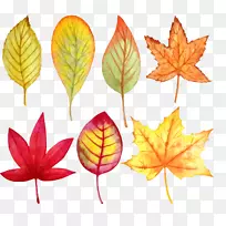 秋色水彩画-水彩画叶-空若网 秋色水彩画-水彩画叶-空若网