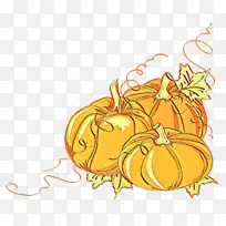 ��ͨ ��ɫ ��ɫ-������