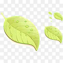 ��ͨ Ҷ�� ��ɫ-������